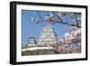 Himeji Castle, Himeji, Kansai, Honshu, Japan-Ian Trower-Framed Photographic Print