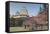 Himeji Castle, Himeji, Kansai, Honshu, Japan-Ian Trower-Framed Stretched Canvas