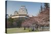 Himeji Castle, Himeji, Kansai, Honshu, Japan-Ian Trower-Stretched Canvas