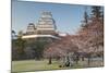 Himeji Castle, Himeji, Kansai, Honshu, Japan-Ian Trower-Mounted Photographic Print