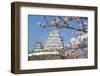 Himeji Castle, Himeji, Kansai, Honshu, Japan-Ian Trower-Framed Photographic Print