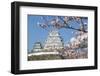 Himeji Castle, Himeji, Kansai, Honshu, Japan-Ian Trower-Framed Photographic Print