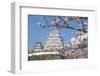 Himeji Castle, Himeji, Kansai, Honshu, Japan-Ian Trower-Framed Photographic Print