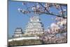 Himeji Castle, Himeji, Kansai, Honshu, Japan-Ian Trower-Mounted Photographic Print