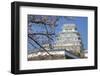 Himeji Castle, Himeji, Kansai, Honshu, Japan-Ian Trower-Framed Photographic Print