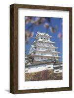 Himeji Castle, Himeji, Kansai, Honshu, Japan-Ian Trower-Framed Photographic Print