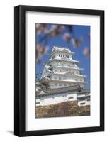 Himeji Castle, Himeji, Kansai, Honshu, Japan-Ian Trower-Framed Photographic Print