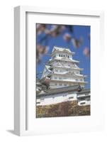 Himeji Castle, Himeji, Kansai, Honshu, Japan-Ian Trower-Framed Photographic Print