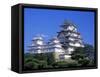 Himeji Castle, Honshu, Japan-Steve Vidler-Framed Stretched Canvas