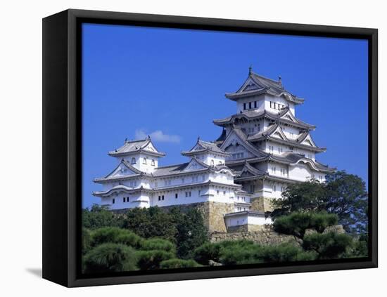 Himeji Castle, Honshu, Japan-Steve Vidler-Framed Stretched Canvas