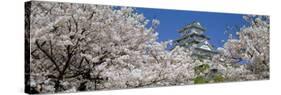 Himeji Castle Hyogo Japan-null-Stretched Canvas