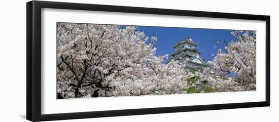 Himeji Castle Hyogo Japan-null-Framed Photographic Print