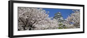 Himeji Castle Hyogo Japan-null-Framed Photographic Print