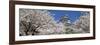 Himeji Castle Hyogo Japan-null-Framed Photographic Print