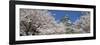 Himeji Castle Hyogo Japan-null-Framed Photographic Print