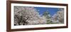 Himeji Castle Hyogo Japan-null-Framed Photographic Print