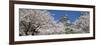 Himeji Castle Hyogo Japan-null-Framed Photographic Print