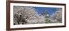 Himeji Castle Hyogo Japan-null-Framed Photographic Print