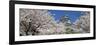 Himeji Castle Hyogo Japan-null-Framed Photographic Print