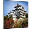 Himeji Castle Japan-null-Mounted Art Print