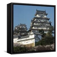 Himeji Castle, Japan-Micha Pawlitzki-Framed Stretched Canvas