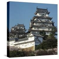 Himeji Castle, Japan-Micha Pawlitzki-Stretched Canvas