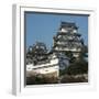Himeji Castle, Japan-Micha Pawlitzki-Framed Premium Photographic Print
