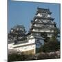 Himeji Castle, Japan-Micha Pawlitzki-Mounted Premium Photographic Print