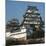 Himeji Castle, Japan-Micha Pawlitzki-Mounted Photographic Print