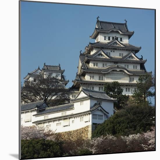Himeji Castle, Japan-Micha Pawlitzki-Mounted Photographic Print