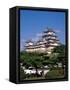 Himeji Castle, Main Tower, Himeji, Honshu, Japan-Steve Vidler-Framed Stretched Canvas