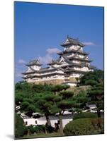 Himeji Castle, Main Tower, Himeji, Honshu, Japan-Steve Vidler-Mounted Photographic Print