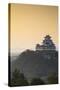 Himeji Castle (Unesco World Heritage Site) at Dawn, Himeji, Kansai, Honshu, Japan-Ian Trower-Stretched Canvas