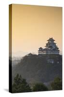 Himeji Castle (Unesco World Heritage Site) at Dawn, Himeji, Kansai, Honshu, Japan-Ian Trower-Stretched Canvas