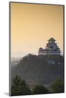 Himeji Castle (Unesco World Heritage Site) at Dawn, Himeji, Kansai, Honshu, Japan-Ian Trower-Mounted Photographic Print