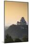 Himeji Castle (Unesco World Heritage Site) at Dawn, Himeji, Kansai, Honshu, Japan-Ian Trower-Mounted Photographic Print