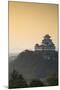 Himeji Castle (Unesco World Heritage Site) at Dawn, Himeji, Kansai, Honshu, Japan-Ian Trower-Mounted Photographic Print