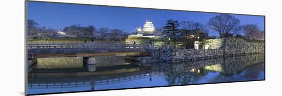 Himeji Castle (Unesco World Heritage Site) at Dusk, Himeji, Kansai, Honshu, Japan-Ian Trower-Mounted Photographic Print