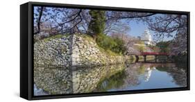 Himeji Castle (Unesco World Heritage Site), Himeji, Kansai, Honshu, Japan-Ian Trower-Framed Stretched Canvas