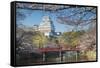 Himeji Castle (Unesco World Heritage Site), Himeji, Kansai, Honshu, Japan-Ian Trower-Framed Stretched Canvas