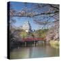 Himeji Castle (Unesco World Heritage Site), Himeji, Kansai, Honshu, Japan-Ian Trower-Stretched Canvas