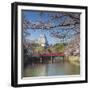 Himeji Castle (Unesco World Heritage Site), Himeji, Kansai, Honshu, Japan-Ian Trower-Framed Premium Photographic Print