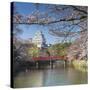 Himeji Castle (Unesco World Heritage Site), Himeji, Kansai, Honshu, Japan-Ian Trower-Stretched Canvas