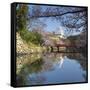 Himeji Castle (Unesco World Heritage Site), Himeji, Kansai, Honshu, Japan-Ian Trower-Framed Stretched Canvas