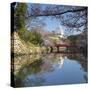 Himeji Castle (Unesco World Heritage Site), Himeji, Kansai, Honshu, Japan-Ian Trower-Stretched Canvas