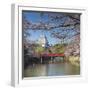 Himeji Castle (Unesco World Heritage Site), Himeji, Kansai, Honshu, Japan-Ian Trower-Framed Photographic Print