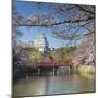 Himeji Castle (Unesco World Heritage Site), Himeji, Kansai, Honshu, Japan-Ian Trower-Mounted Photographic Print