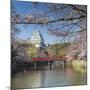 Himeji Castle (Unesco World Heritage Site), Himeji, Kansai, Honshu, Japan-Ian Trower-Mounted Photographic Print