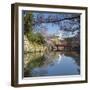 Himeji Castle (Unesco World Heritage Site), Himeji, Kansai, Honshu, Japan-Ian Trower-Framed Photographic Print