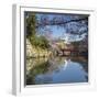 Himeji Castle (Unesco World Heritage Site), Himeji, Kansai, Honshu, Japan-Ian Trower-Framed Photographic Print